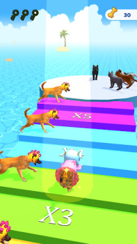 İndir Cats run 3D Simülatörler Android için Ekran görüntüsü 2