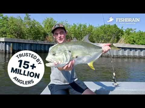 İndir Fishbrain - Fishing App Spor Android için Ekran görüntüsü 8
