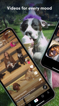 İndir TikTok Sosyal Android için Ekran görüntüsü 4