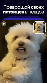 İndir Revive AI: Photo Animation App Eğlence Android için Ekran görüntüsü 5