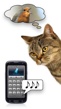 İndir Human-to-Cat - Play with your Eğlence Android için Ekran görüntüsü 3