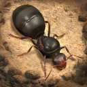 İndir  The Ants: Underground Kingdom