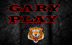 İndir Gary play Eğlence Android için Ekran görüntüsü 4