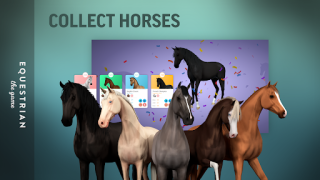 İndir Equestrian the Game Simülatörler Android için Ekran görüntüsü 2