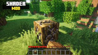 İndir Realistic Shader Mod Minecraft Eğlence Android için Ekran görüntüsü 2