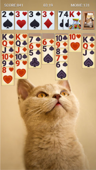 İndir Solitaire Classic Kart oyunları Android için Ekran görüntüsü 6