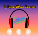 İndir  DJ Mapopo mbona Syalala Remix