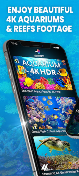 İndir Aquariums TV Fotoğraf Android için Ekran görüntüsü 2