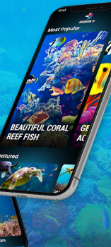 İndir Aquariums TV Fotoğraf Android için Ekran görüntüsü 3