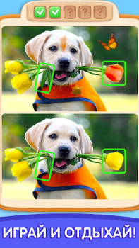 İndir Can You Spot It: Differences Bulmaca Oyunları Android için Ekran görüntüsü 3
