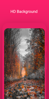 İndir wallcraft live wallpaper Özelleştirme Android için Ekran görüntüsü 4