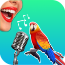 İndir  Bird Translator Simulator App