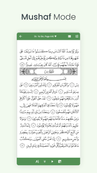 İndir Al Kur'an (Tefsir & Meal) Kitaplar & Rehberler Android için Ekran görüntüsü 3
