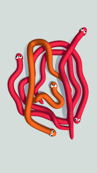 İndir Tangled Snakes Bulmaca Oyunları Android için Ekran görüntüsü 6