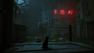 İndir Stray Cat Simulator Mobile Simülatörler Android için Ekran görüntüsü 6