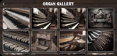 İndir Organ Instrument Müzik ve Ses Android için Ekran görüntüsü 7
