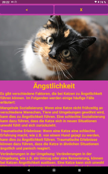 İndir Katzen Clicker Training Light Konut ve ev Android için Ekran görüntüsü 7