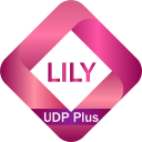 İndir  Lily UDP Plus - High Speed