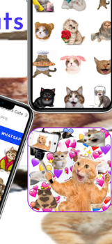 İndir Memes Etiketler Kediler İletişim Android için Ekran görüntüsü 4