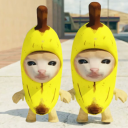 İndir  Banana Cat