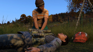 İndir Dayz Pro Mobile Rol yapma Android için Ekran görüntüsü 5