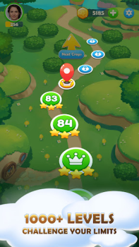 İndir Skip-Bo Kart oyunları Android için Ekran görüntüsü 4