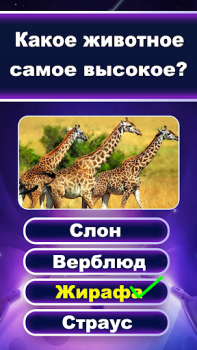 İndir Soru Cevap Eğlencelik Bilgi Kelime Oyunları Android için Ekran görüntüsü 7