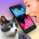 İndir  Kedi Çevirmen Miyav