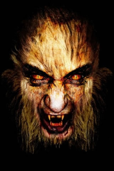 İndir Scary Video Maker Eğlence Android için Ekran görüntüsü 2
