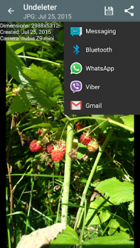 İndir Undeleter Recover Files & Data Araçlar Android için Ekran görüntüsü 4