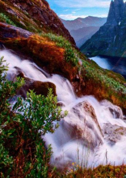 İndir Waterfall Live Wallpaper Özelleştirme Android için Ekran görüntüsü 3