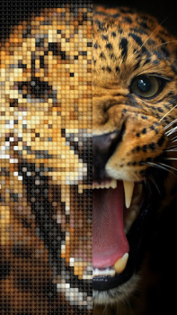 İndir Kanaviçe işi: Cross Stitch Bulmaca Oyunları Android için Ekran görüntüsü 7