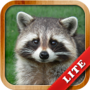 İndir  Animals for Kids