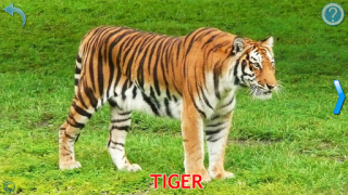 İndir Animals for Kids Öğrenme Android için Ekran görüntüsü 2