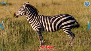 İndir Animals for Kids Öğrenme Android için Ekran görüntüsü 3