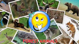 İndir Animals for Kids Öğrenme Android için Ekran görüntüsü 5