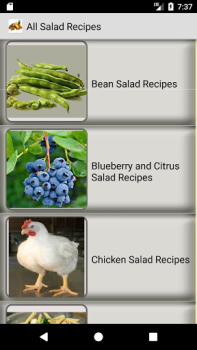 İndir All Salad Recipes Yiyecek & İçecek Android için Ekran görüntüsü 2
