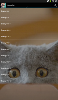 İndir Cats sounds Müzik ve Ses Android için Ekran görüntüsü 2