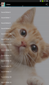 İndir Cats sounds Müzik ve Ses Android için Ekran görüntüsü 5
