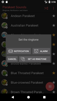 İndir Appp.io - Parakeet Sesler Eğlence Android için Ekran görüntüsü 4
