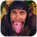 İndir  Fun Photo Camera