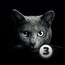 İndir Найди кота 3