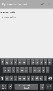 Русско-литовский переводчик