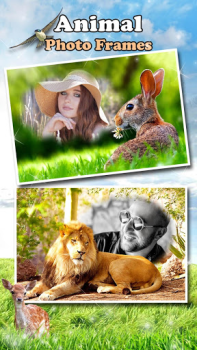 İndir All Animals Photo Frames 🐅 Wildlife 🐈 Cute Pets Fotoğraf Android için