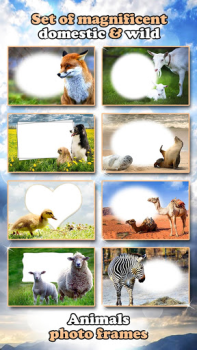 İndir All Animals Photo Frames 🐅 Wildlife 🐈 Cute Pets Fotoğraf Android için Ekran görüntüsü 6