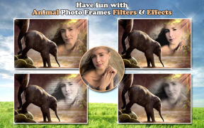 İndir All Animals Photo Frames 🐅 Wildlife 🐈 Cute Pets Fotoğraf Android için Ekran görüntüsü 7
