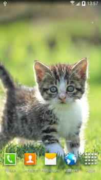 İndir Cat Live Wallpaper Özelleştirme Android için Ekran görüntüsü 2