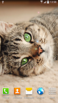 İndir Cat Live Wallpaper Özelleştirme Android için Ekran görüntüsü 3