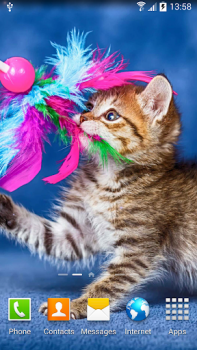 İndir Cat Live Wallpaper Özelleştirme Android için Ekran görüntüsü 4