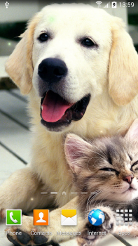 İndir Cat Live Wallpaper Özelleştirme Android için Ekran görüntüsü 7